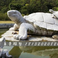 烏龜石雕,漢白玉烏龜雕塑