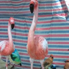 玻璃鋼火烈鳥雕塑,仿真火烈鳥雕塑