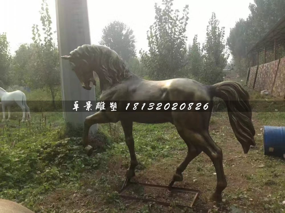 馬銅雕,公園動物銅雕