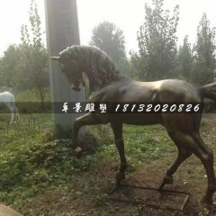 馬銅雕,公園動物銅雕