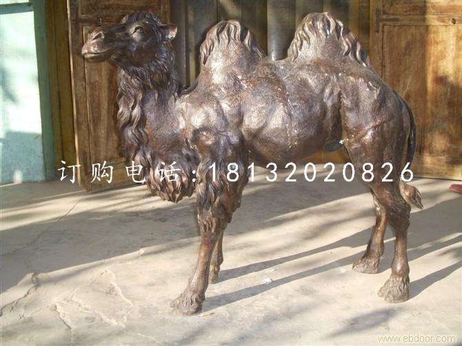 公園駱駝銅雕,動物銅雕 (2)