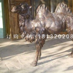公園駱駝銅雕,動物銅雕